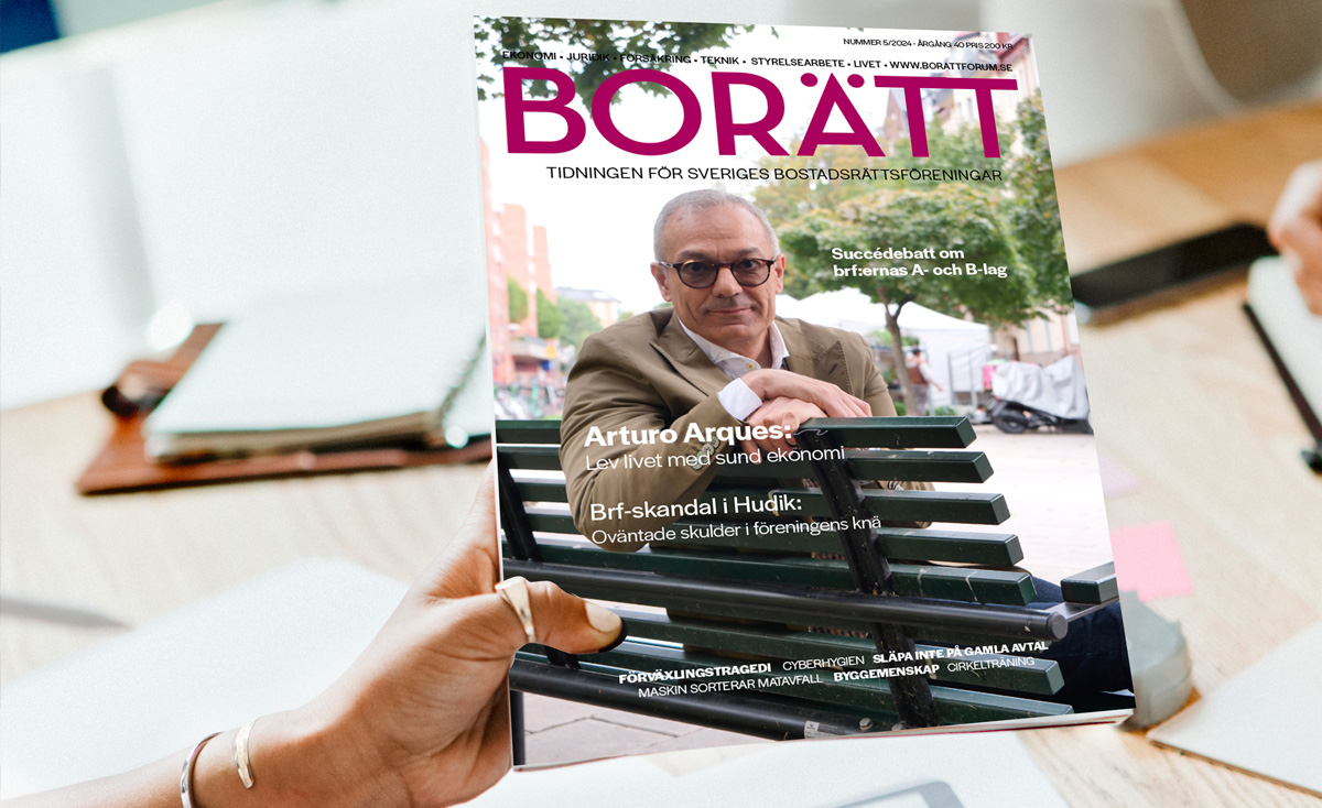 Tidningen Borätt
